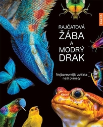 Köhrsenová, Andrea - Rajčatová žába a modrý drak