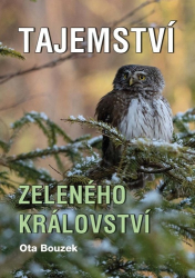 Bouzek, Ota - Tajemství zeleného království