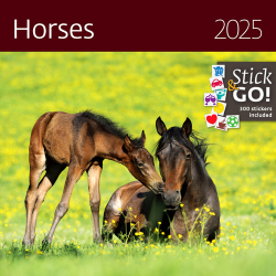 Horses 2025 - nástěnný kalendář