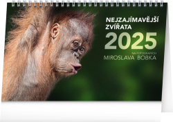 Bobek, Miroslav - Nejzajímavější zvířata 2025 - stolní kalendář