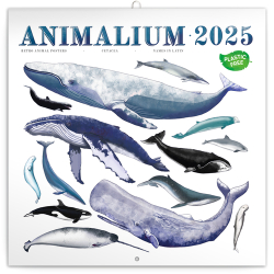 Poznámkový kalendář Animalium 2025 - nástěnný kalendář