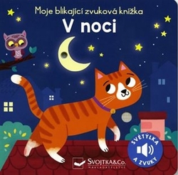 Höck, Maria - Moje blikající zvuková knížka - V noci