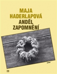 Haderlapová, Maja - Anděl zapomnění