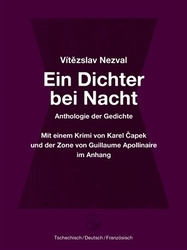 Apollinaire, Guillaume - Ein Dichter bei Nacht