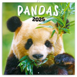 Poznámkový kalendář Pandy 2025