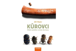 Hulcr Jiří - Kůrovci